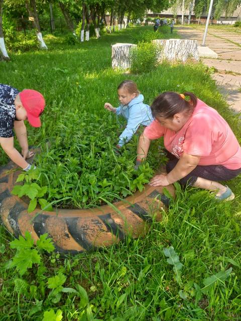 День защиты окружающей среды..