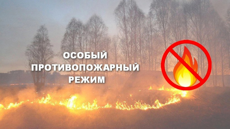 Особый противопожарный режим в лесах.